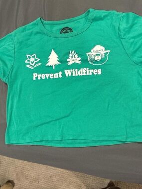 Kids' Green 'Prevent Wildfires' Graphic Tee with Smokey Bear